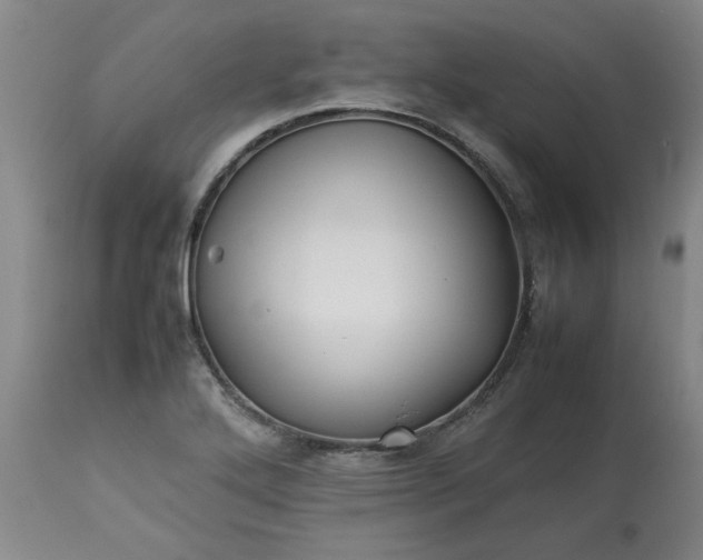 X0000113211272200909241414