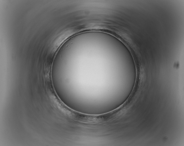 X0000113211273200909241414