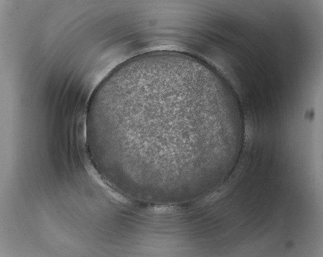 X0000113211274200909241414