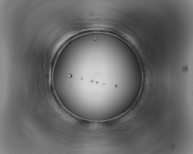 X0000113211275200909241414