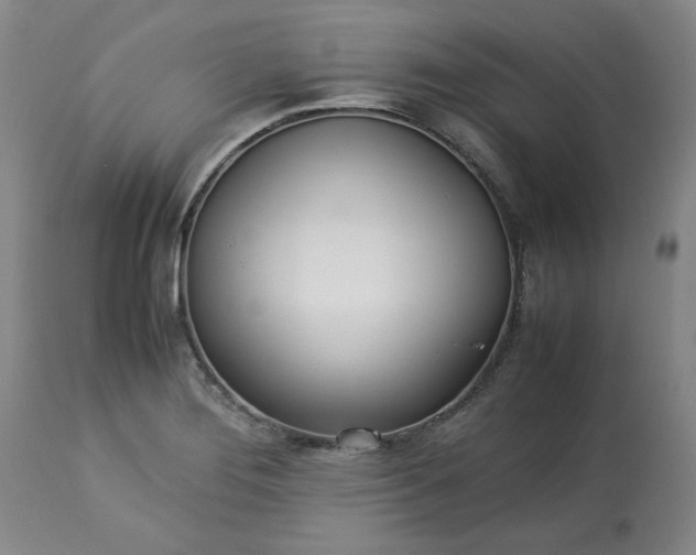 X0000113211276200909241414