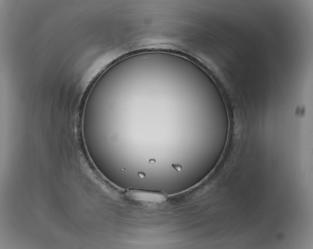 X0000113211277200909241414