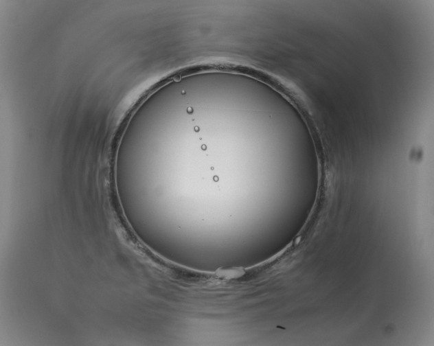 X0000113211279200909241414