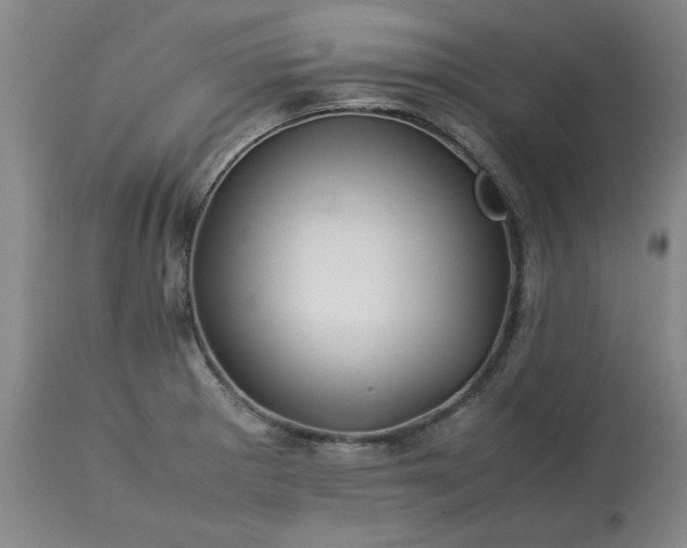 X0000113211281200909241414