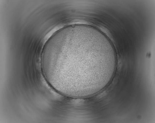 X0000113211282200909241414