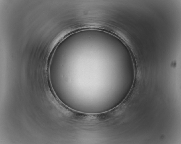 X0000113211283200909241414