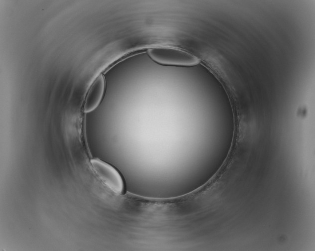 X0000113211284200909241414