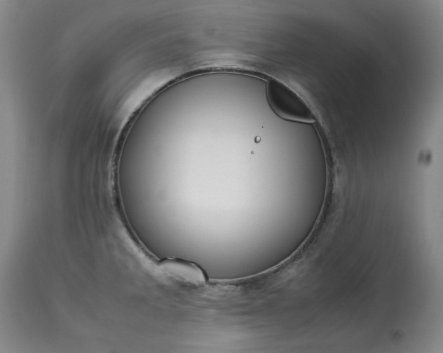 X0000113211285200909241414