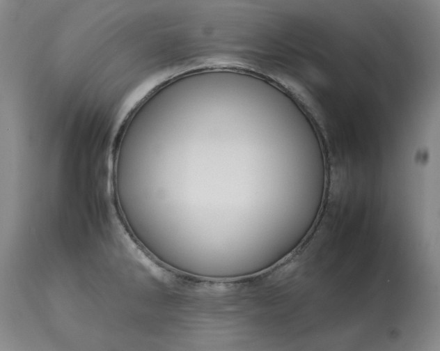 X0000113211286200909241414