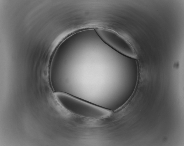 X0000113211288200909241414