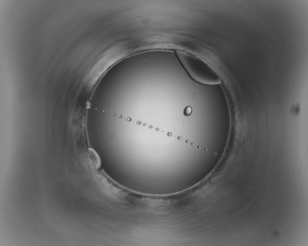 X0000113211289200909241414