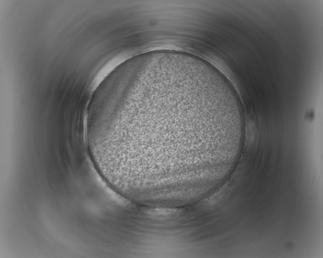 X0000113211290200909241414