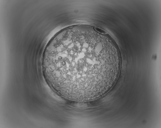 X0000113211291200909241414