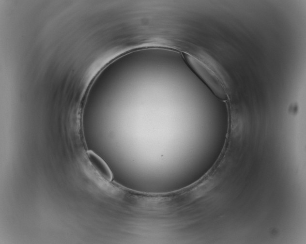 X0000113211292200909241414