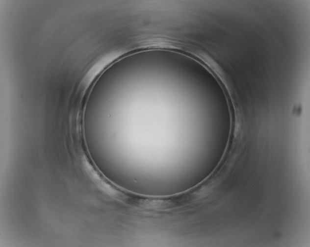 X0000113211293200909241414