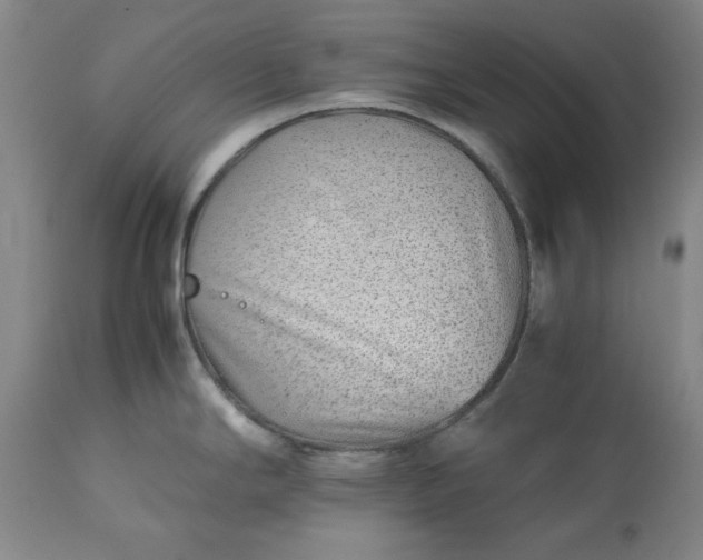 X0000113211294200909241414