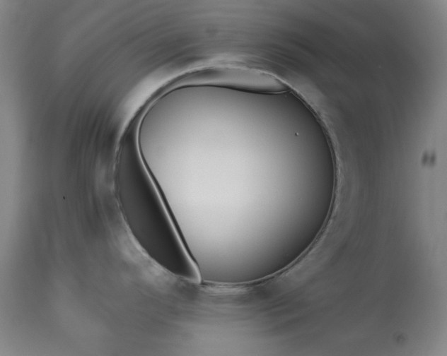 X0000113211296200909241414