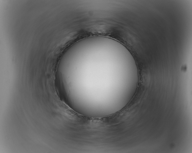 X0000113211297200909241413