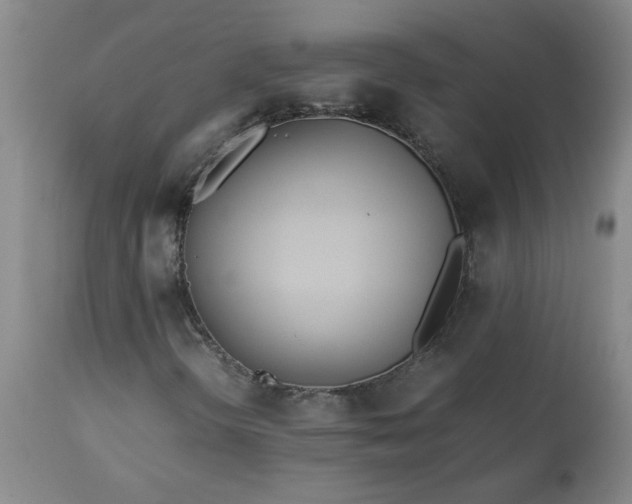 X0000113211298200909241413