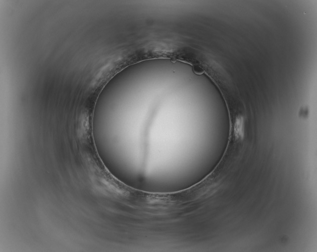 X0000113211299200909241413