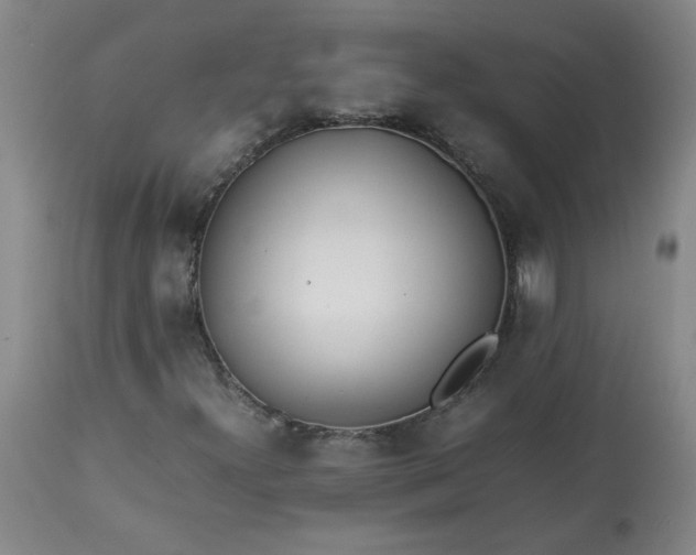 X0000113211300200909241413