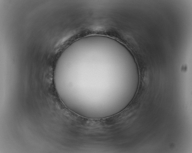 X0000113211301200909241413