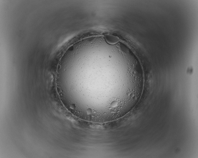 X0000113211302200909241413