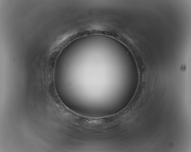 X0000113211303200909241413