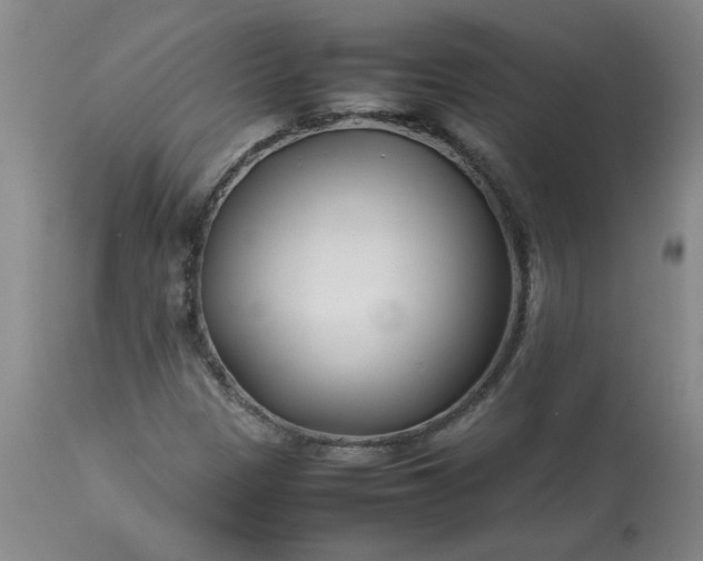 X0000113211305200909241414