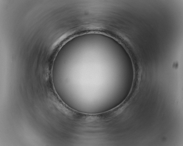 X0000113211306200909241414