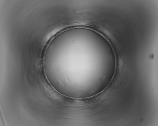 X0000113211308200909241414