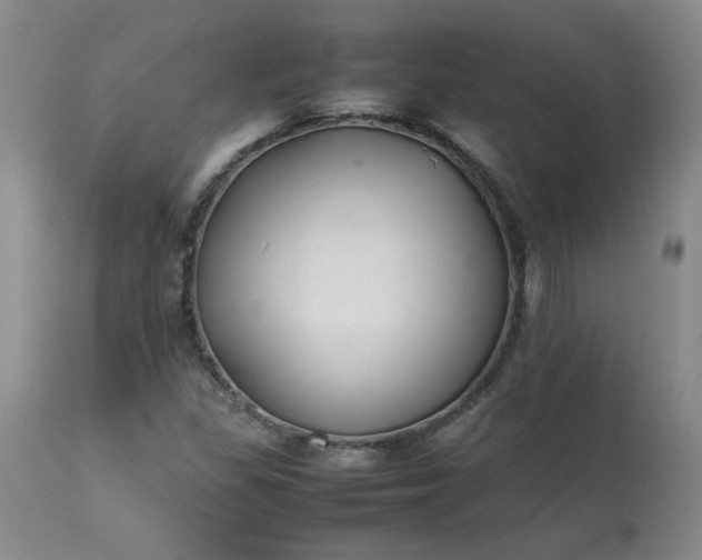 X0000113211309200909241414