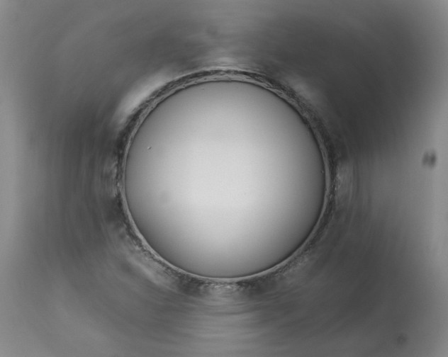 X0000113211310200909241414