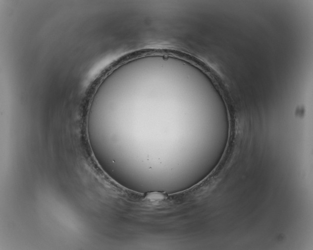 X0000113211311200909241414