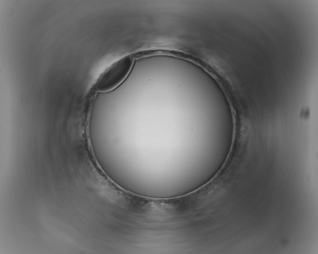 X0000113211312200909241414