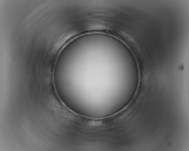 X0000113211313200909241414