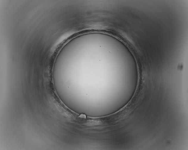 X0000113211315200909241414