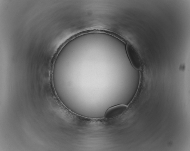 X0000113211316200909241414