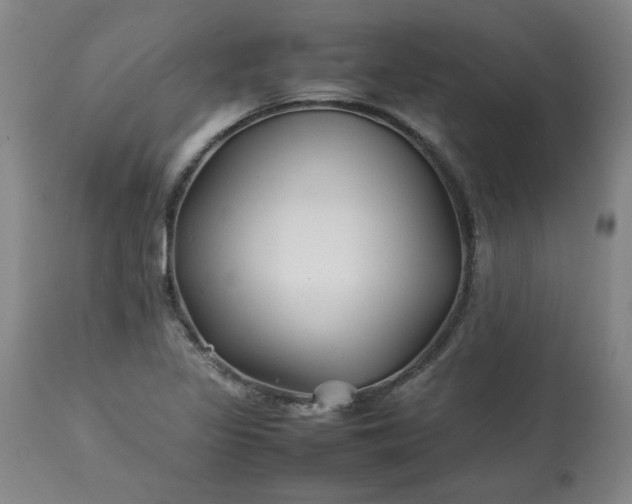 X0000113211317200909241414