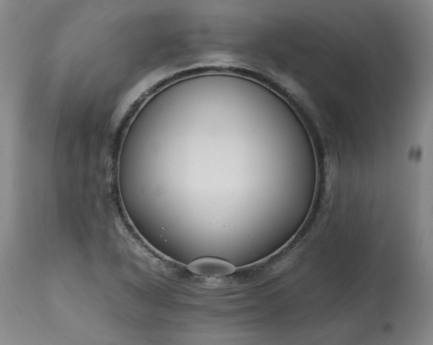 X0000113211318200909241414