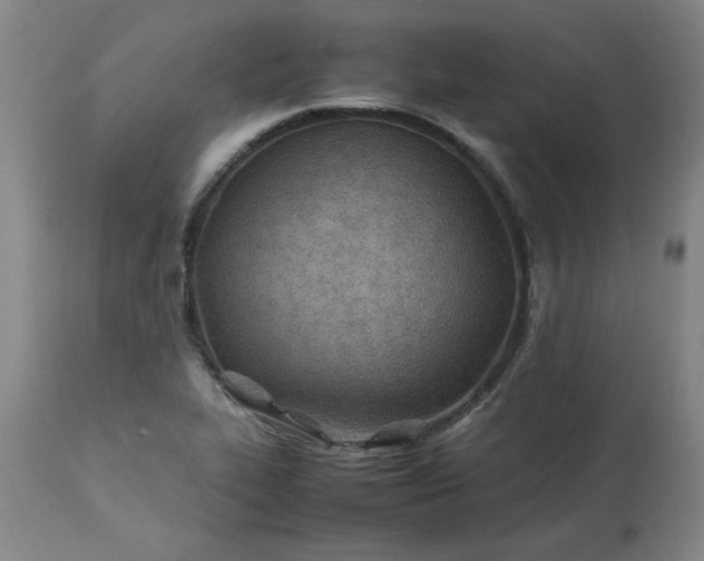 X0000113211319200909241414