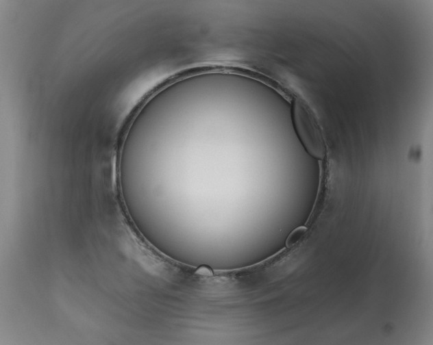 X0000113211320200909241414