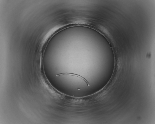 X0000113211323200909241414