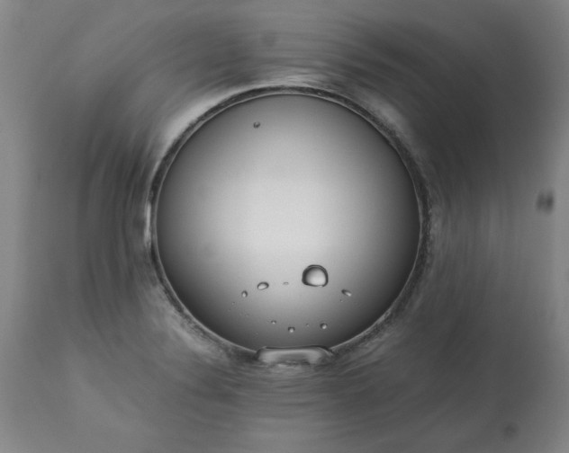 X0000113211324200909241414