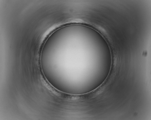 X0000113211326200909241414