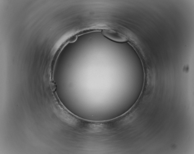 X0000113211328200909241414