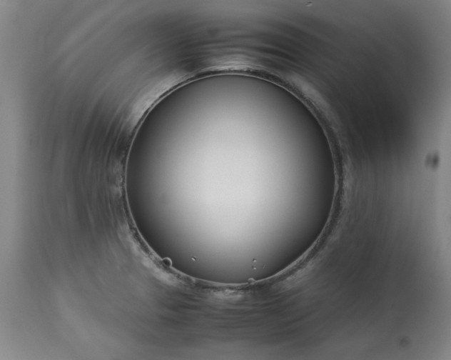 X0000113211329200909241414