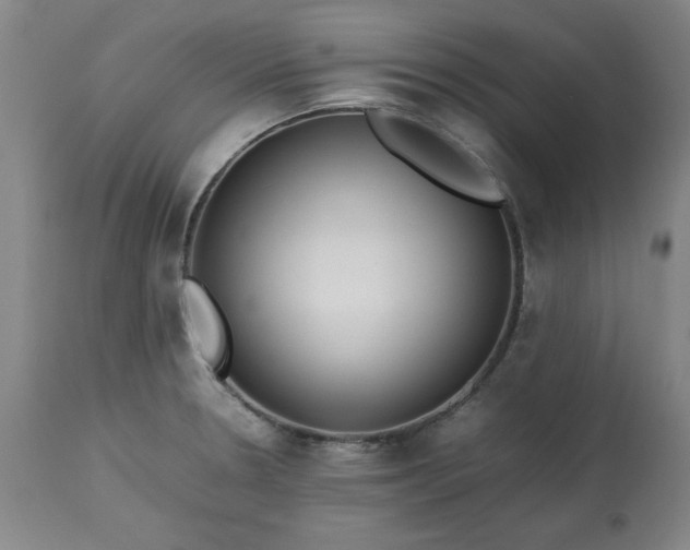 X0000113211330200909241414