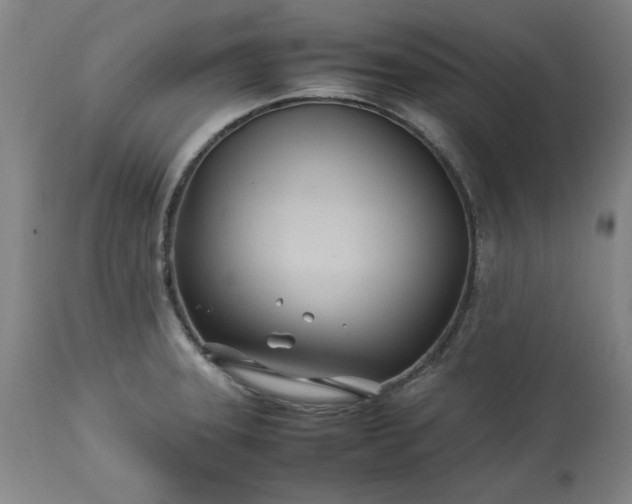 X0000113211331200909241414