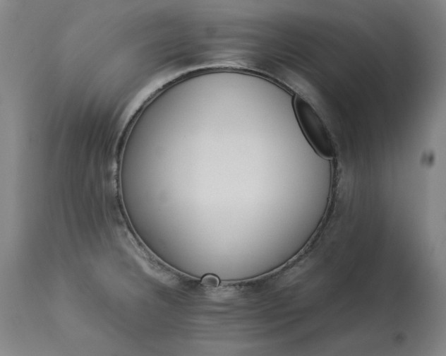 X0000113211332200909241414